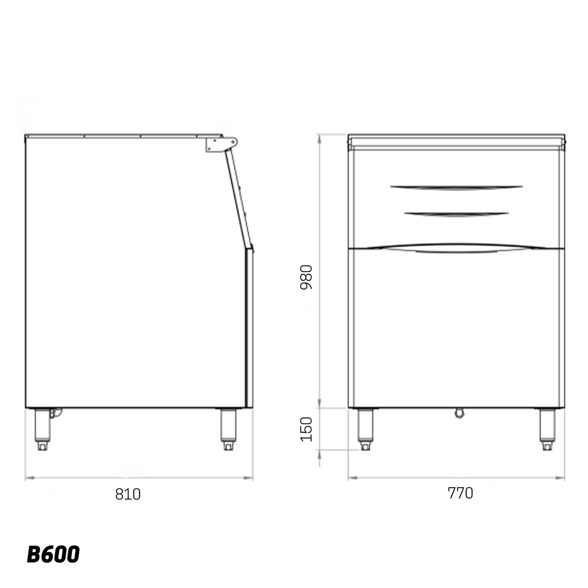 Ice Storage Bin